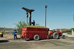 Tractor and trailer in South Afrika (Bron: Lettkow, Wikimedia Commons)