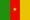 Cameroon flag