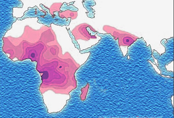 Distribution of the sickle cell trait (Source: Wikimedia Commons, Muntuwandi, CC BY-SA 3.0)