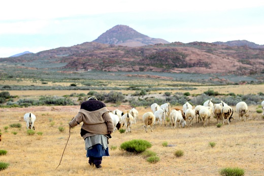 Photo credit: Clement Cupido