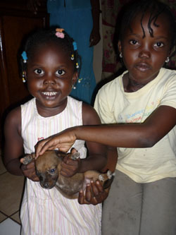 Children and puppies in CAR