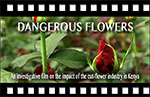 poster of 'Dangerous flowers'