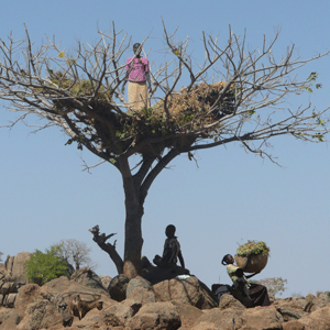 Cover PhD thesis Heleen Smits