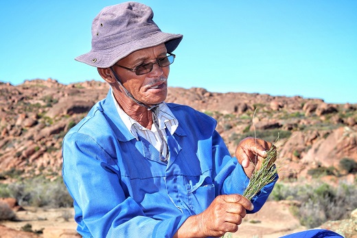 Photo credit: Clement Cupido