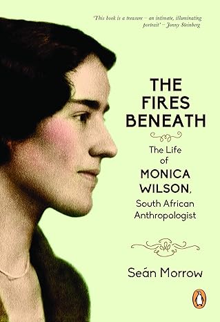 book cover 'The fire beneath"